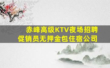 赤峰高级KTV夜场招聘促销员无押金包住宿公司